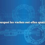 Question : Pourquoi les vaches ont-elles quatre estomacs ?